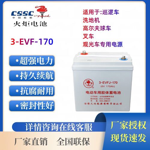 火炬蓄电池3-EVFJ-170 3-EVF-200 4-EVFJ-150观光 巡逻车动力汽车