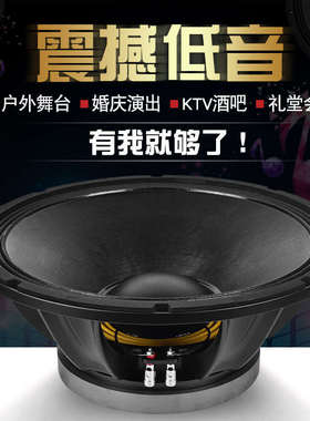雷顿BM15寸低音喇叭220磁100芯800瓦全频大功率单双十五音箱重低