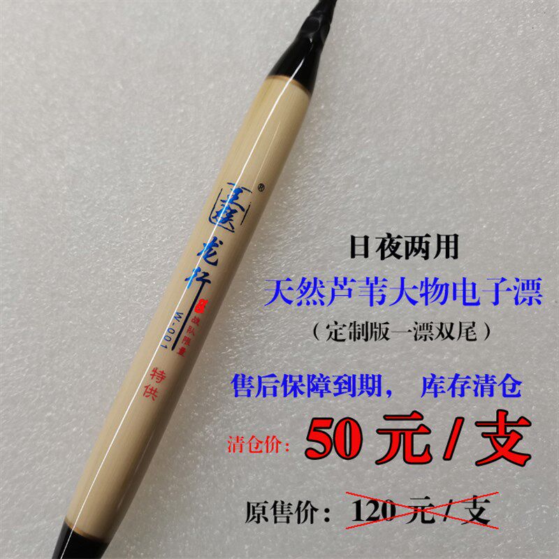 日夜两用芦苇电子漂大亮目超清晰加粗双尾夜光P漂草鱼青鱼浮漂特