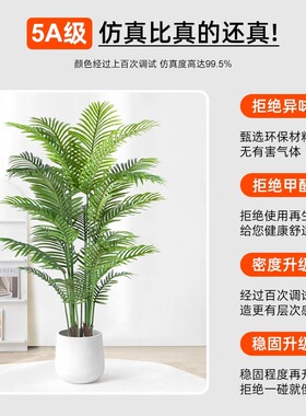 仿真绿色植物散尾葵落地盆栽室内z大型仿生植物摆件客厅轻奢装饰