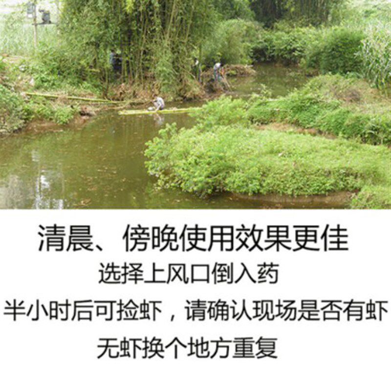虾公散晕虾药捕虾灵加强v版河虾龙虾钓翘嘴憋虾灵空手抓虾虾药