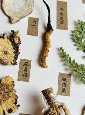 中药标本装饰画木框中药材B画框艺术画框中药画倪师成品
