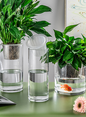 水培植物玻璃瓶透明直筒圆柱形花瓶简约绿萝白掌水养玻璃容器