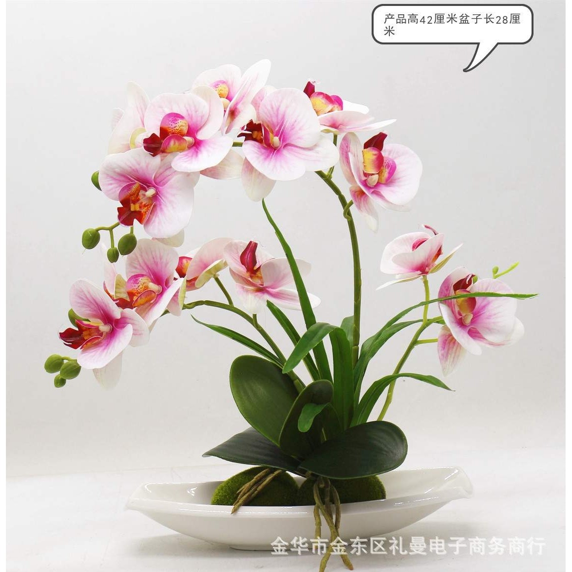 3d打印蝴蝶兰仿真花居家装饰摆件仿真盆景植物假花盆栽