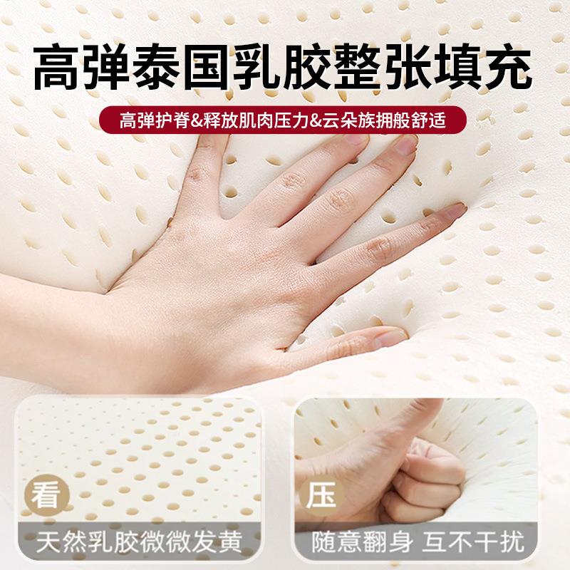 乳胶床垫家用卧室软垫遮盖物宿舍学生单人海绵榻榻米垫子租房专用