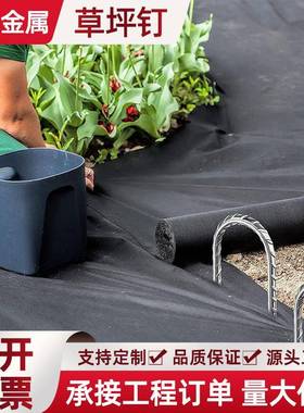 型U不锈钢固定弯WTP钉草皮钉马钉钉洋钉铁钉V形钉栅骑栏钉地钉