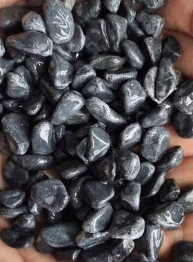 透水路水洗石石砾石污水AMZ处石理面英砂水过滤硅砂铺地白球灰色