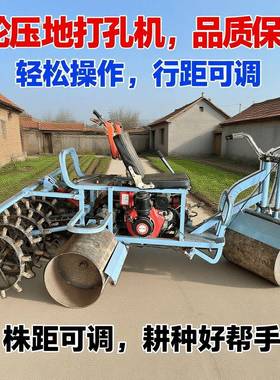 用专机用耕蒜种机械大JDH小麦营养压制大蒜压地打孔家一体机原厂