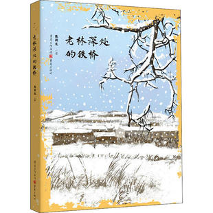 【正版书籍】老林深处的铁桥张国龙重庆出版社