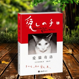 【正版现货】爱猫奇洛 日荒木经惟著 金晶译 纪实摄影集 重庆大学出版社 9787562473442