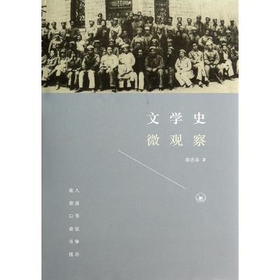 【正版书籍】文学史微观察李洁非生活读书新知三联书店