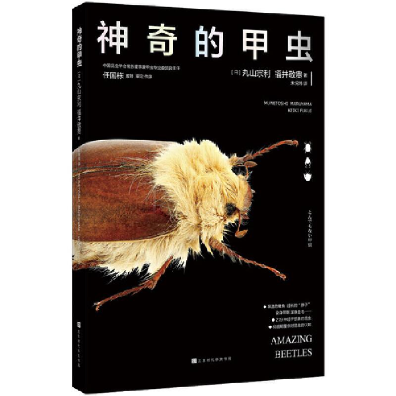【正版书籍】的甲虫丸山宗利福井敬贵北京时代华文书局