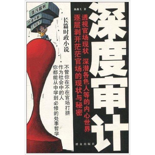 【正版书籍】深度审计林燕飞群众出版社