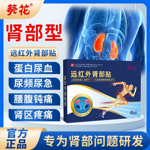 肾结石溶石化石排石专用贴膏金钱草鸡内金胆结石肾炎肾囊肿旗舰店