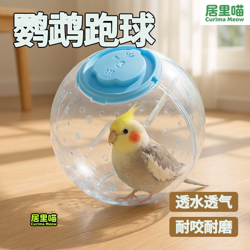 居里喵鹦鹉跑球玩具解闷自嗨虎皮牡丹耐啃咬跑轮鸟类益智解压用品