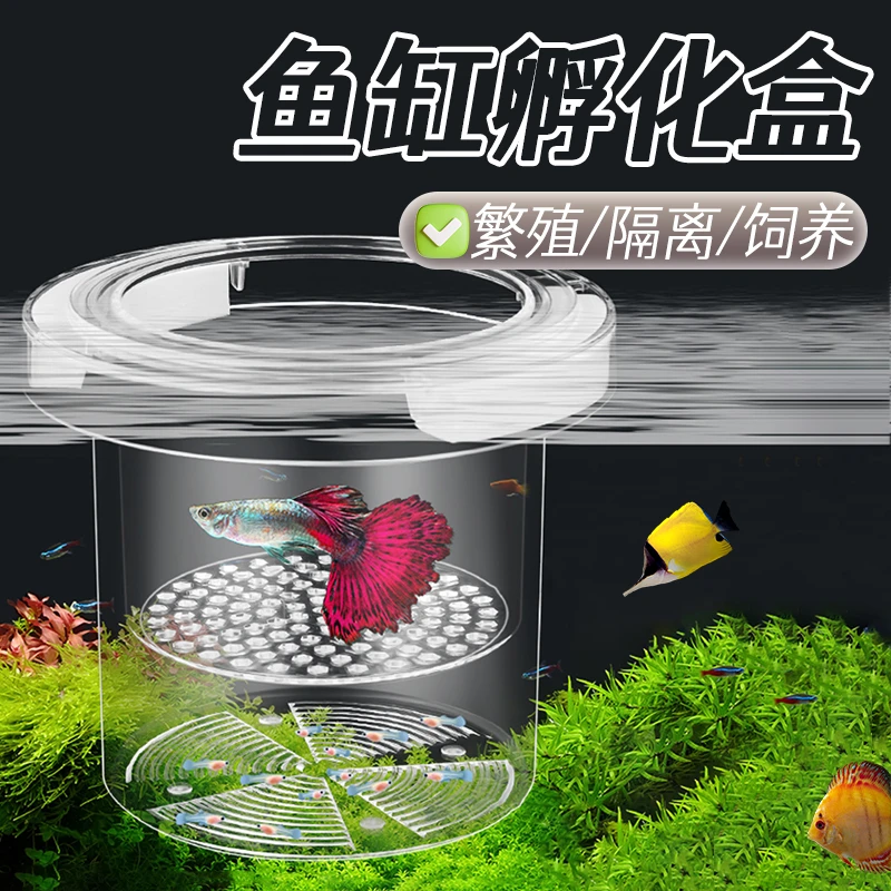 宠大条孔雀鱼孵化隔离盒