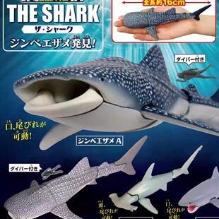 【星谷】预订 THE SHARK发现鲸鲨 鲨鱼可动摆件 扭蛋