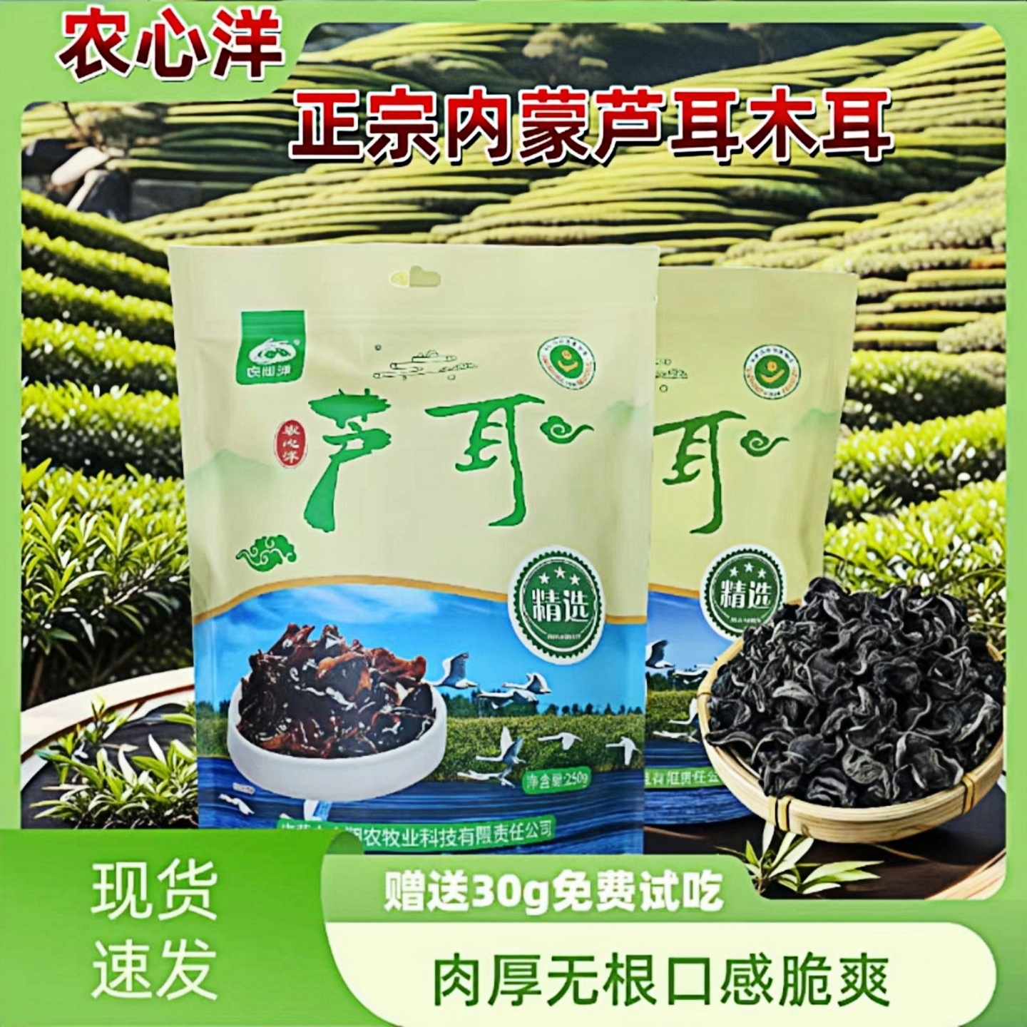 内蒙古特产黑木耳芦耳芦苇种植优质无根大片肉厚干货黑木耳炒菜