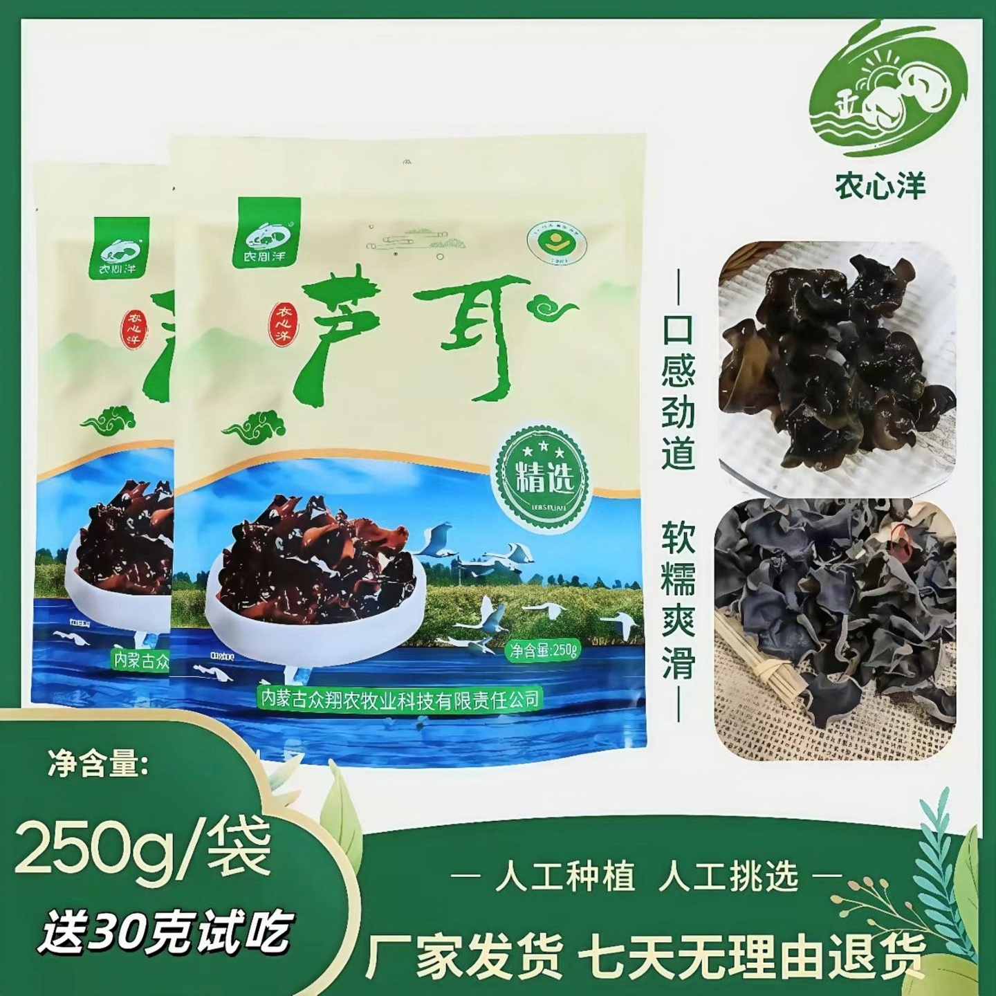 正宗东北特产内蒙古农心洋芦耳芦苇种植优质无根大片肉厚黑木耳