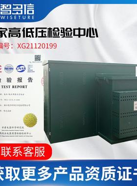 美式箱800kva箱式变电站A组合型变成套配电房1250ZDXDLHH0VK充电