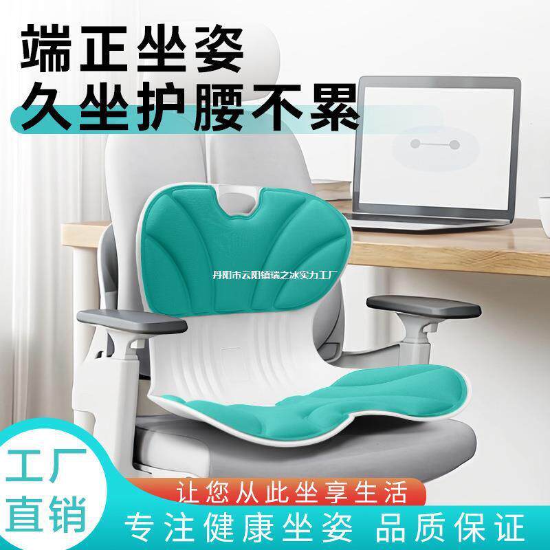 坐姿人ZK01A体工腰护学护人体垫靠垫坐垫腰椅不靠累垫久坐背办公