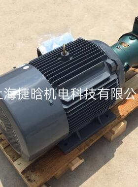 油泵电机组25CY-Y1S32M4插式内油压-马达7.5YYB132M-KW三相异步电