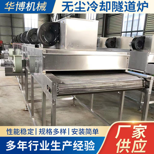 无尘冷却隧道炉隧道炉工业隧道炉烘干线高温干燥设备固化炉