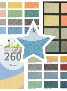 台宝地板 复合地板 发泡底面软底卷材2.6MM宽度2米PVC地板 TB260