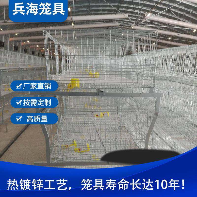 热镀锌肉鸡笼三层肉鸡笼高品质肉鸡笼使用寿命长热镀锌养殖设备,畜牧/养殖物资,特种养殖设备,淘宝优惠券,粉丝福利购,淘宝优惠卷