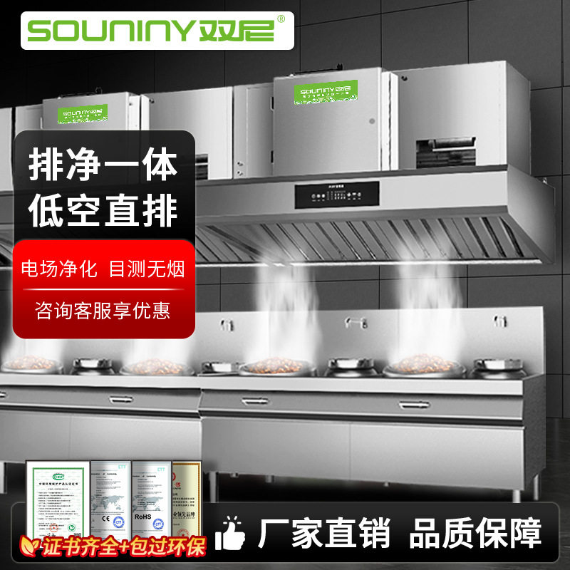双尼商用油烟净化一体机低空排放