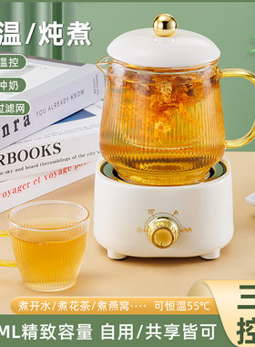 煮茶壶2023新款玻璃炖煮养生壶