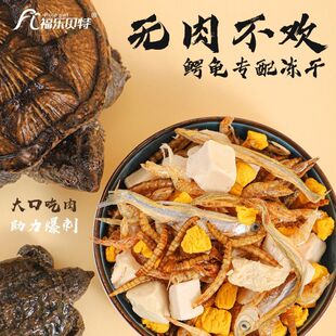 北美小鳄龟大鳄龟肉干鳄龟饲料龟粮爆刺粮食纯杂佛鳄鱼龟乌龟食物