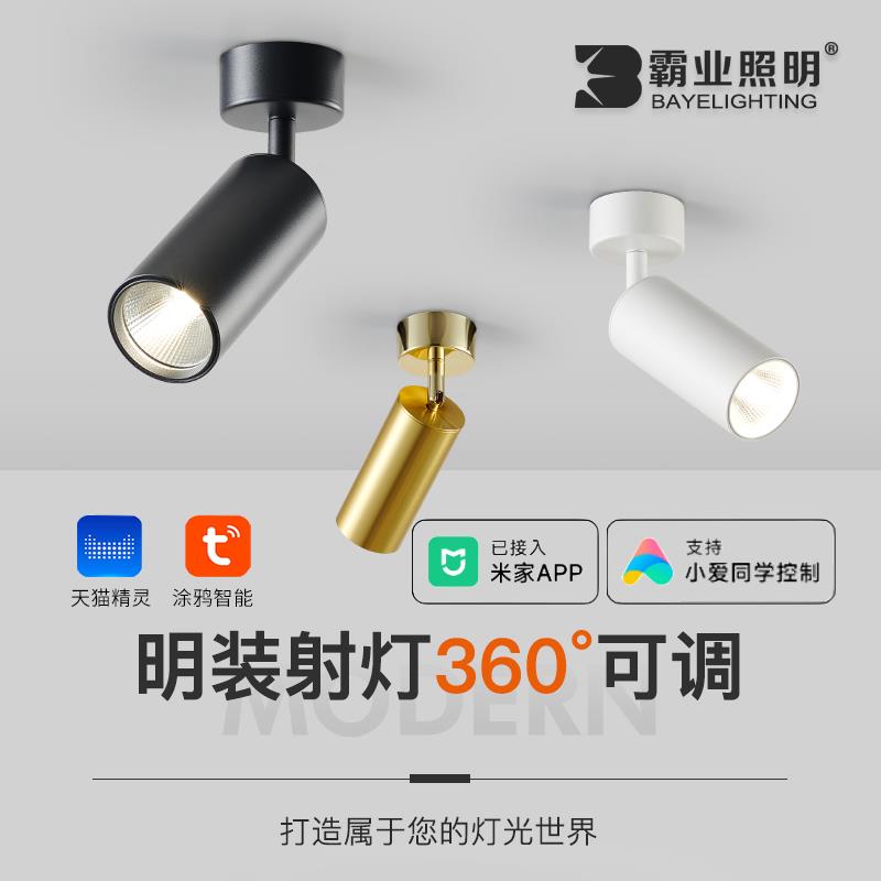 明装射灯可调角度家用背景墙吸顶式聚光照画 画全光谱单个小金色