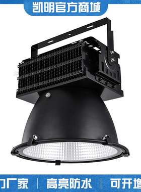 支架LED厂房吊灯400W500W600W大瓦数工矿灯泛光投光灯Flood light