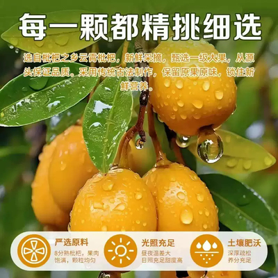 【竹盐枇杷干】无核原味枇杷干果脯类枇杷干休闲零食水果干-zr