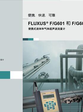 FLEXIM F/G601 F/G608 便携式液体气体超声波流量计议价维修