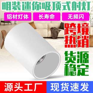 家用无主灯客厅过道室内明装 源头工厂led射灯吸顶式 迷你照明射灯