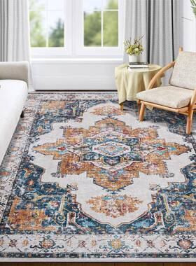 客厅地RSX-fyr-可水洗波西米亚波东方毯做旧西米防滑地亚毯餐厅