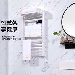 纽登智间能电热毛架式 欧铝合金烤漆加热浴巾542巾架卫生置物烘干