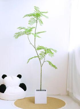 仿真蓝楹中式假物盆栽室内摆仿真树客09960植厅摆件件轻奢仿花真