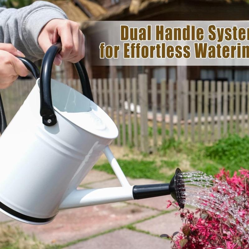 出口两欧美铁大容量洒水用壶L浇花壶4AL102399呢和