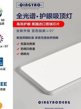 超薄眼全光谱护客厅灯顶吸灯现13972代简大约气主卧室书房广东中