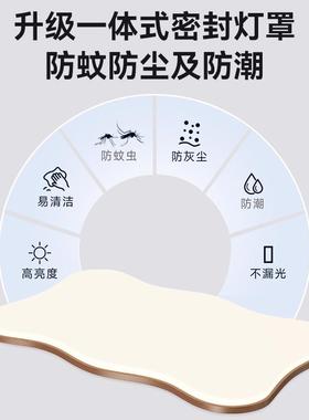 代简约顶灯胡桃吸木纹奶眼油风超薄现护2025新款全屋组89252合套