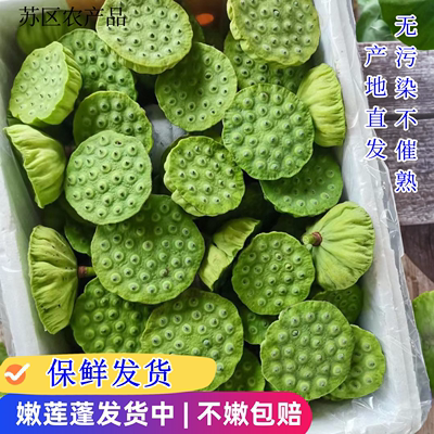 新鲜莲蓬现摘生吃新鲜莲子嫩莲蓬江西特产应季水果莲蓬香糯莲子米