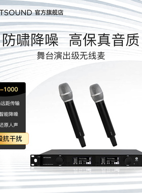 ARTSOUND专业舞台剧场演出无线话筒一拖二麦克风直播舞台歌手专用
