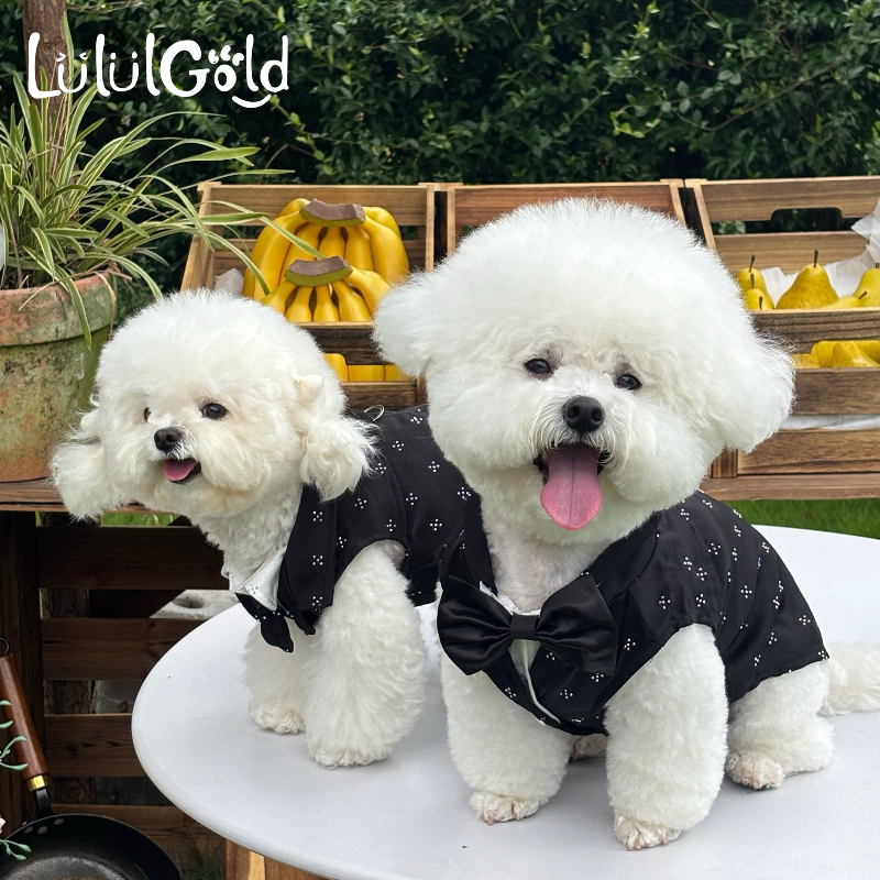 LululGold·花嫁系列西装礼服