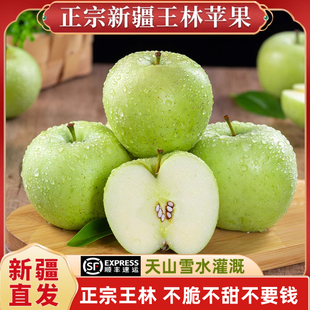 【顺丰包邮】新疆阿克苏青森王林苹果雀斑美人青苹果天山雪水灌溉