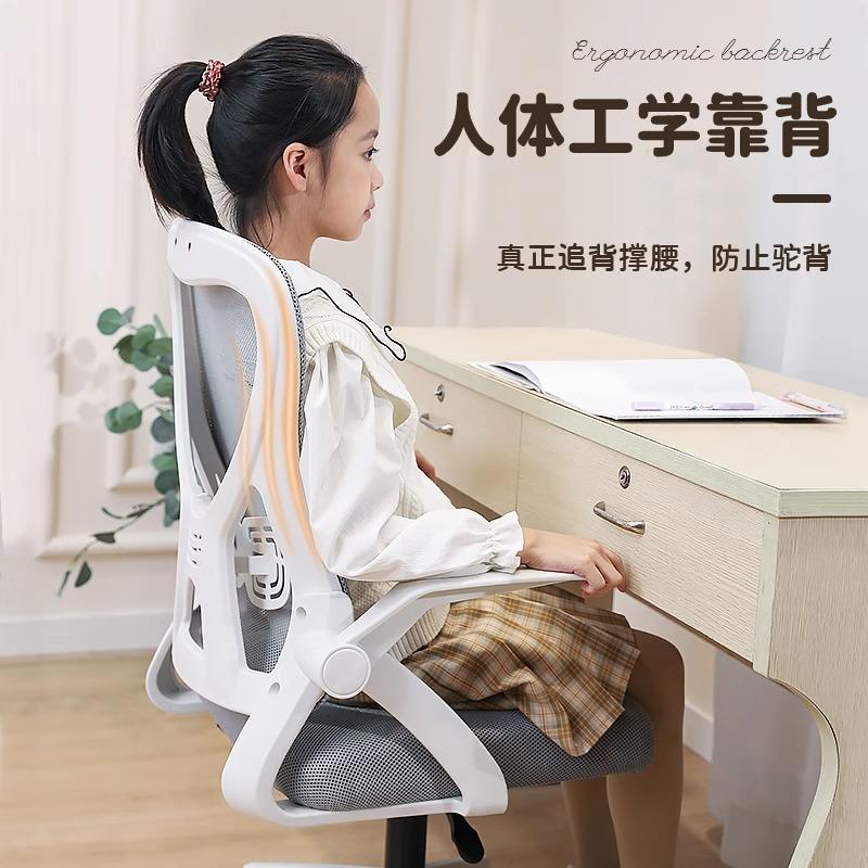 人体工学电脑椅办公椅电竞椅靠背学生书房宿舍办公座椅转椅办公室
