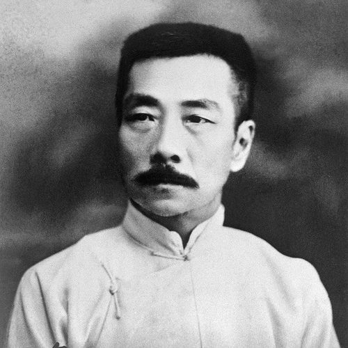 思想家语文美术鲁迅的脑子。拍下后自动长到大脑上。买过都说好用