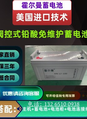 速发霍尔曼蓄H12-100 12V7AH17AH24AH8A65A200AH直流屏